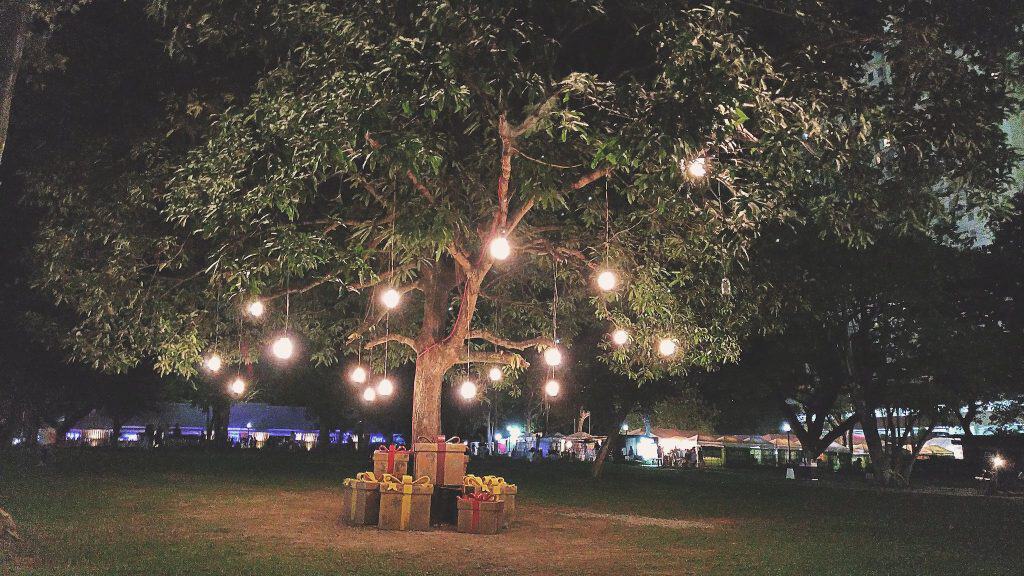 Landscape Lights